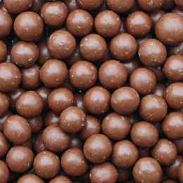 NOISETTES CHOCOLAT AU LAIT BIO