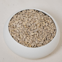 GRAINES DE TOURNESOL BIO