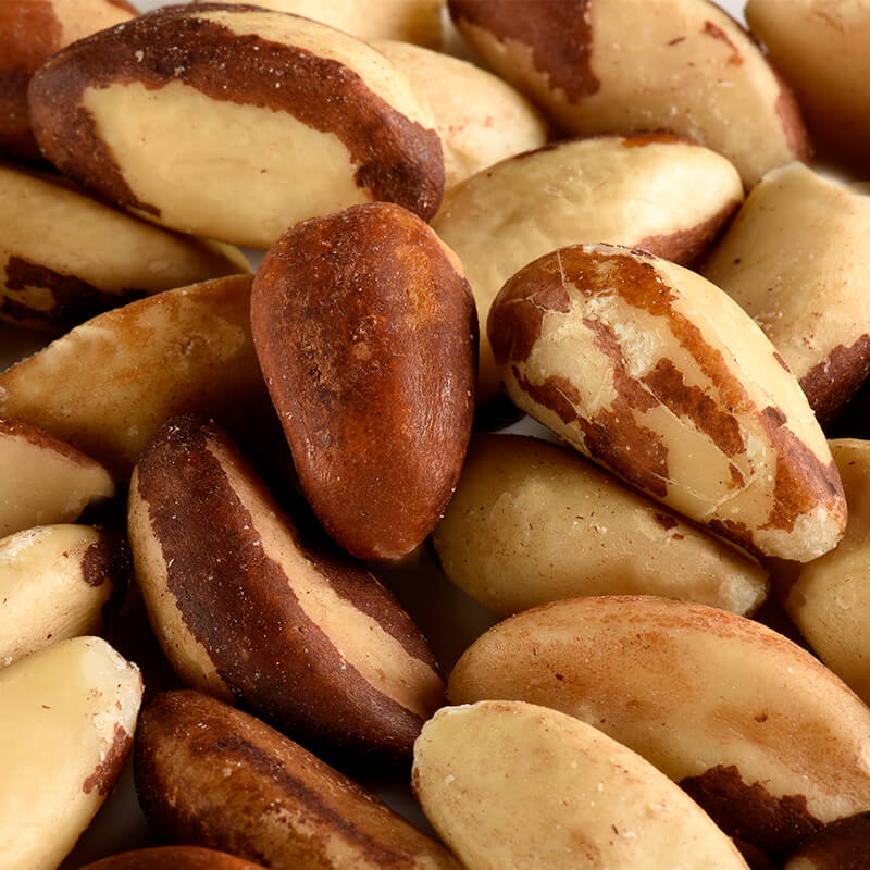 Les noix du brésil : minéraux, bienfaits et nutriments - Jeûner à la maison